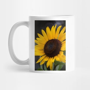 Sunflower Series XVI Mug